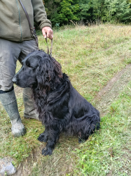 IMG 20250927 101828 S