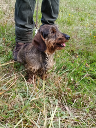 IMG 20250927 101851 S