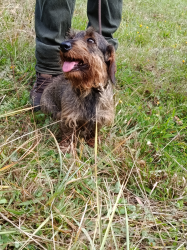 IMG 20250927 101853 S